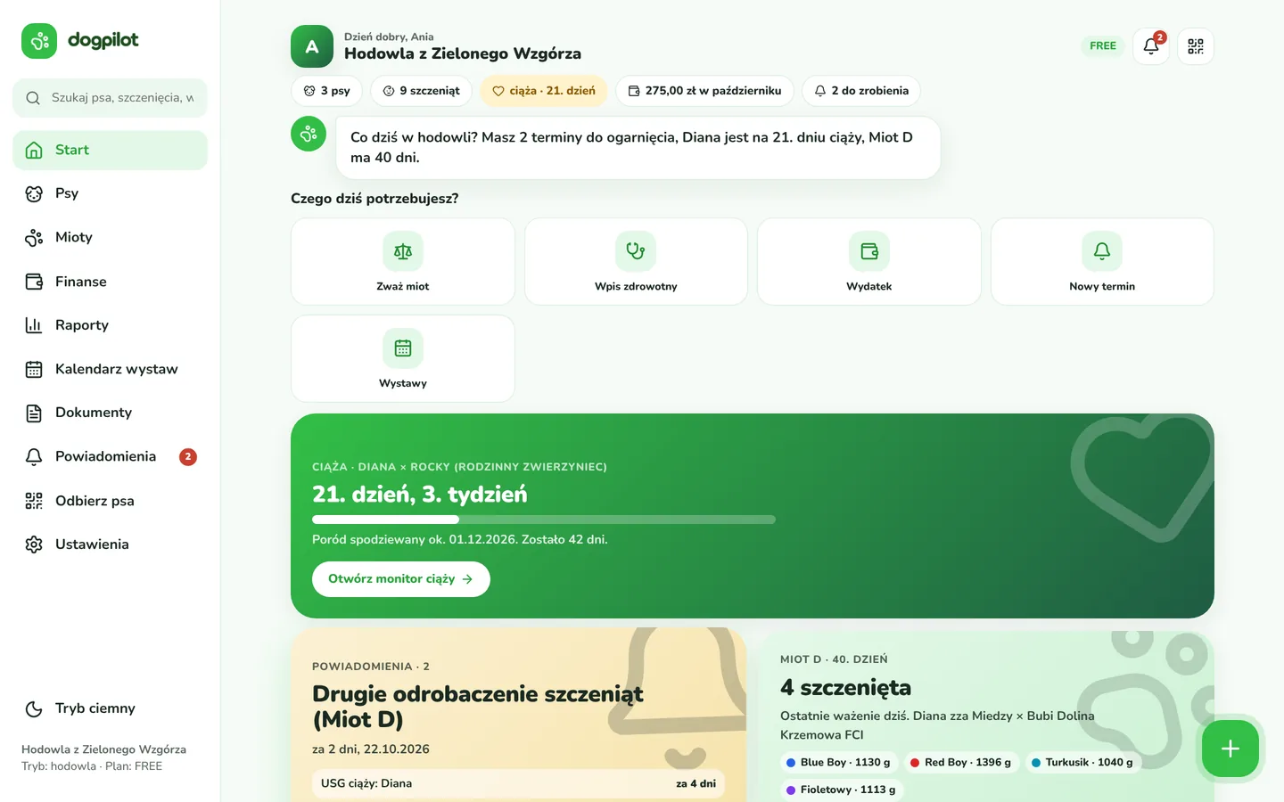Dogpilot web app dashboard
