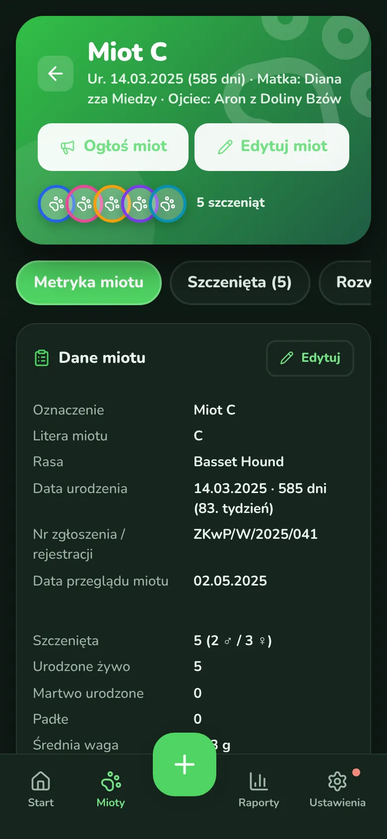 Litter · dark mode