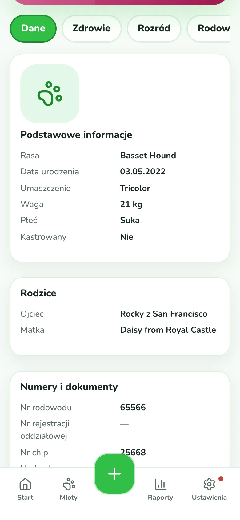 Dog profile